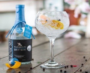 gin 2